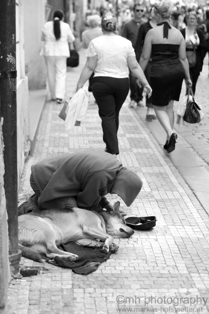 homeless friends forever - prague