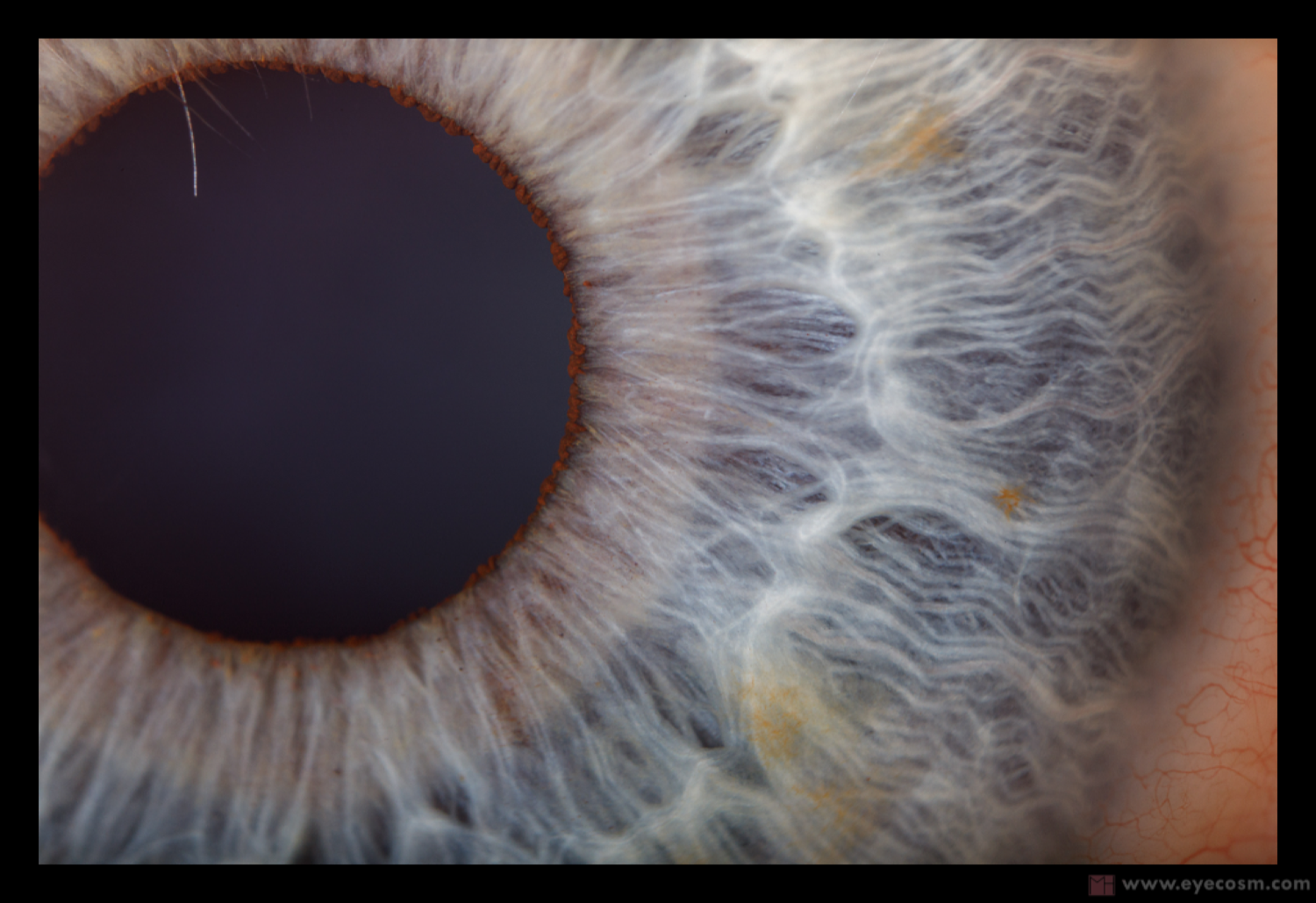 A EYE FULL OF OCEAN