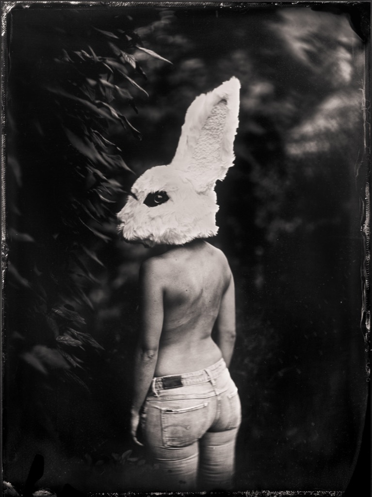 The White Rabbit - make your choice Tintype