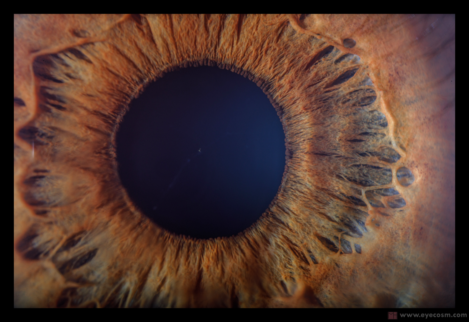 CAN YOU SEE IT?