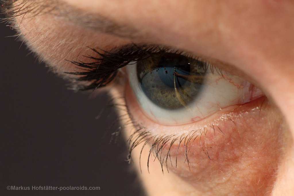 The eye of pool