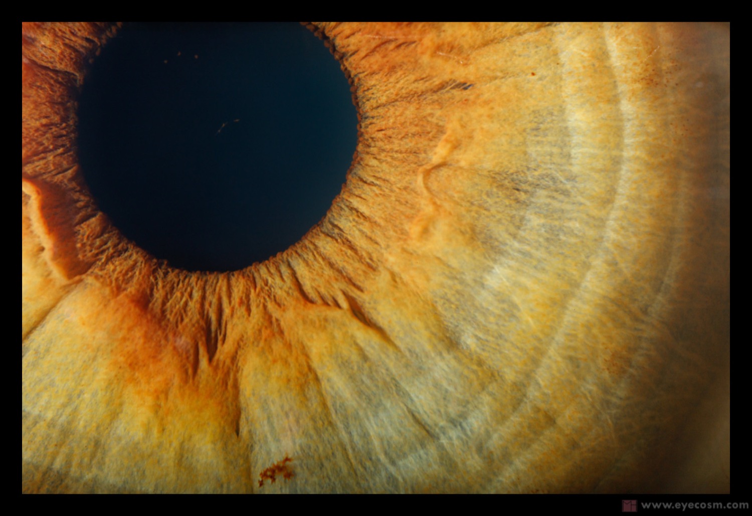 THE COAST IN THE EYE