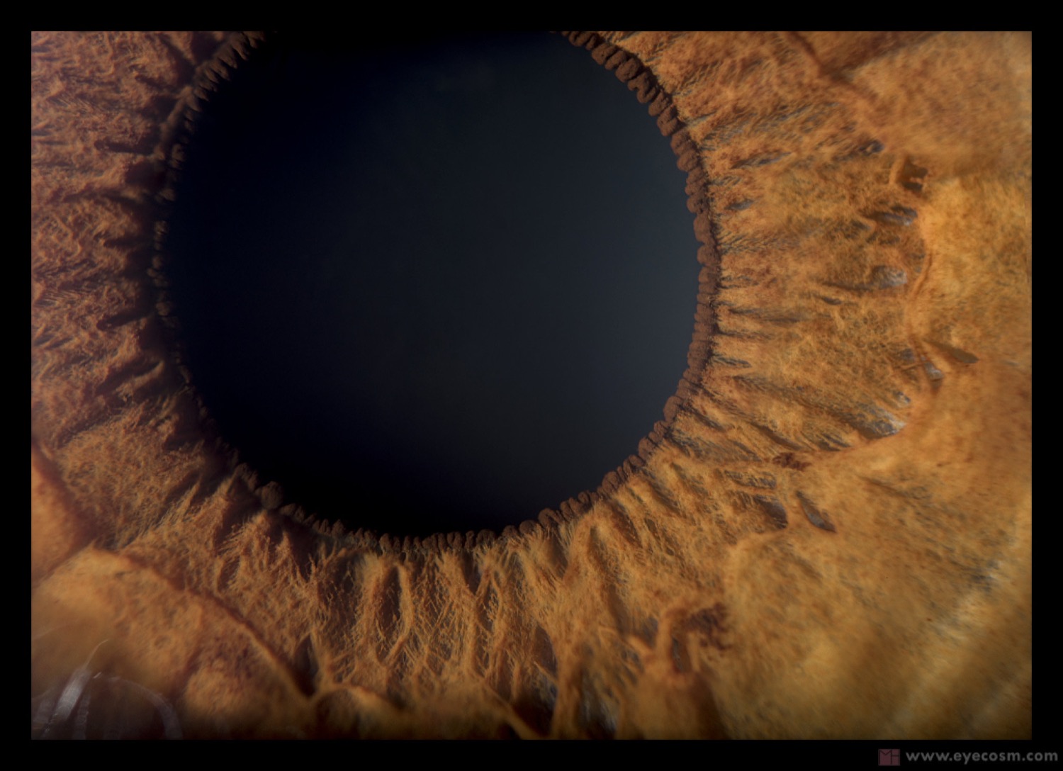THE EYE IS THE DOOR TO YOUR SOUL